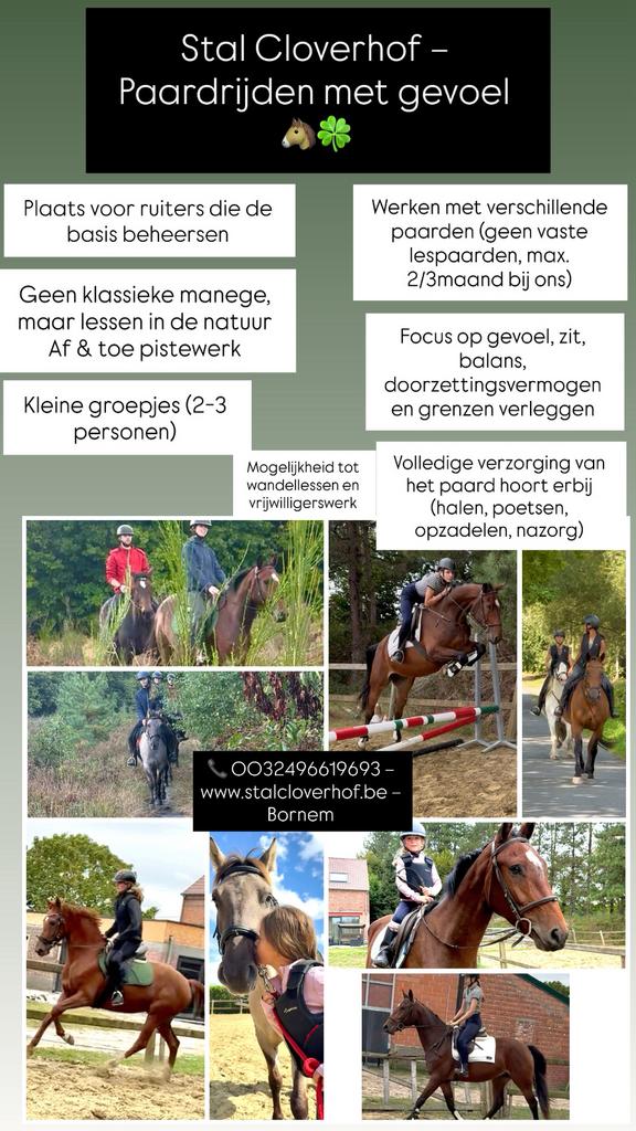 Paardrijlessen Bornem, Ophalen of Verzenden, Zo goed als nieuw