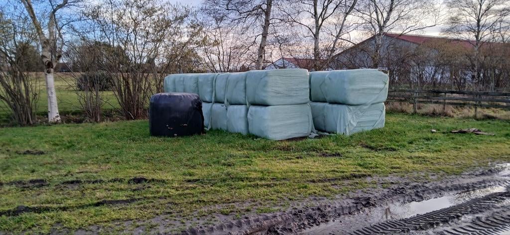 Voordroog hooi grote pakken, Dieren en Toebehoren