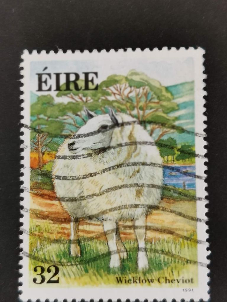 Irlande 1991 - Mouton irlandais - Cheviot du Wicklow, Enlèvement ou Envoi, Irlande, Affranchi