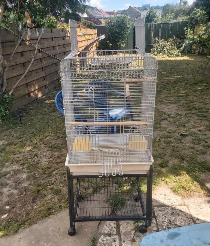Volière, Dieren en Toebehoren, Vogels | Hokken en Kooien, Zo goed als nieuw, Volière, Ophalen