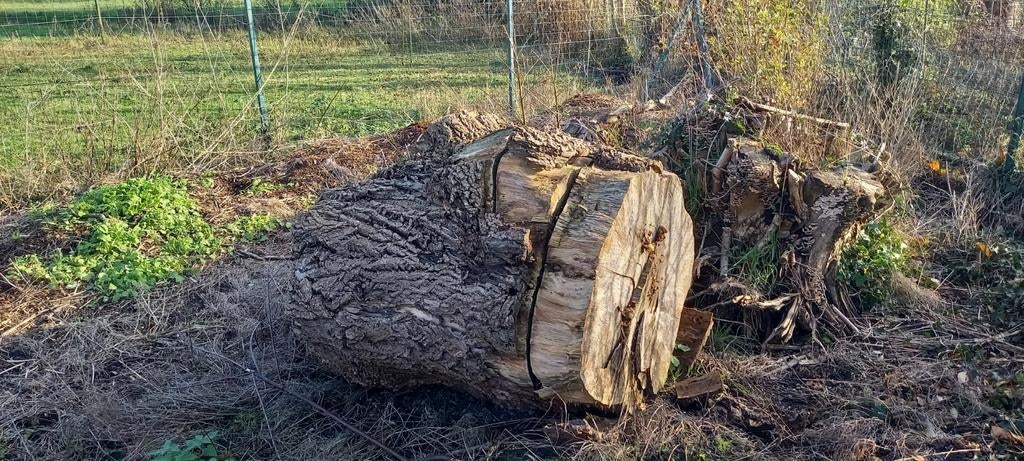 A donner, Enlèvement