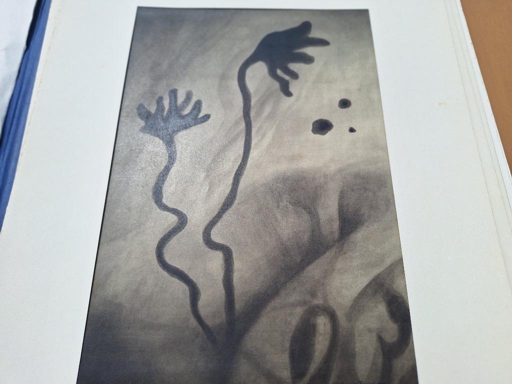 Van den Berg F.J.G. Lavis 1945, Antiquités & Art, Enlèvement