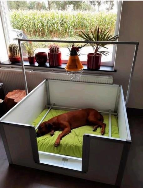 PROFESSIONELE WERPKIST HUNDOS ***** PRO, Ophalen of Verzenden, Zo goed als nieuw