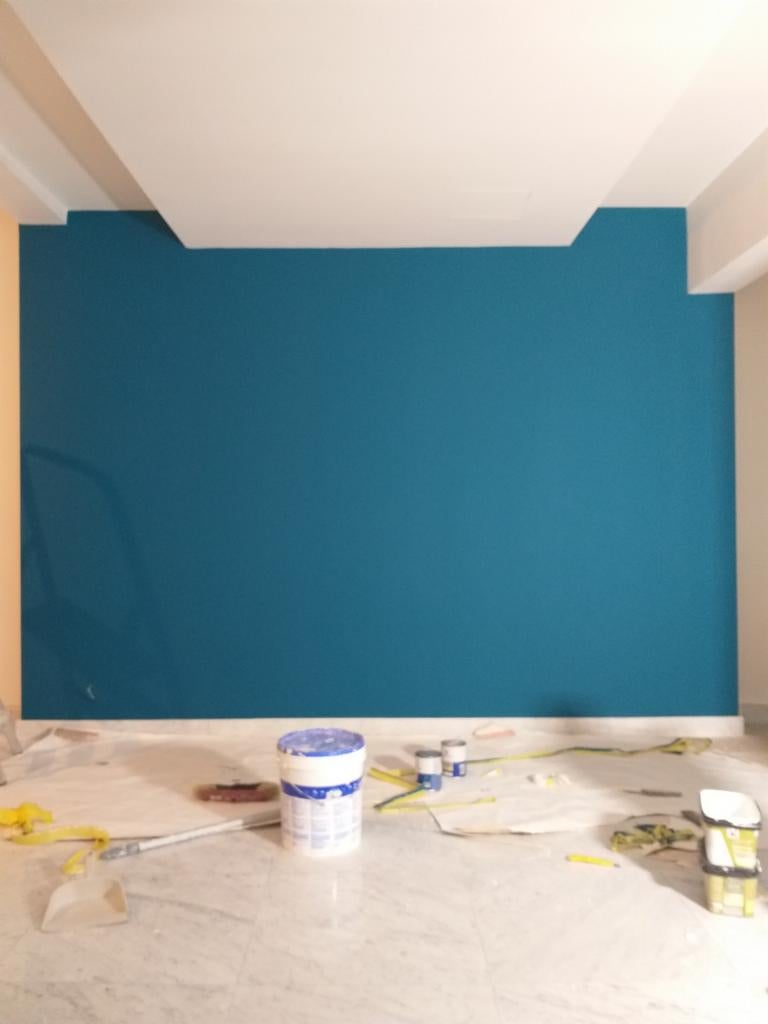 Professionnel en bâtiment peintre et plafonneur 0467812240, Vacatures, Vacatures | Bouwnijverheid