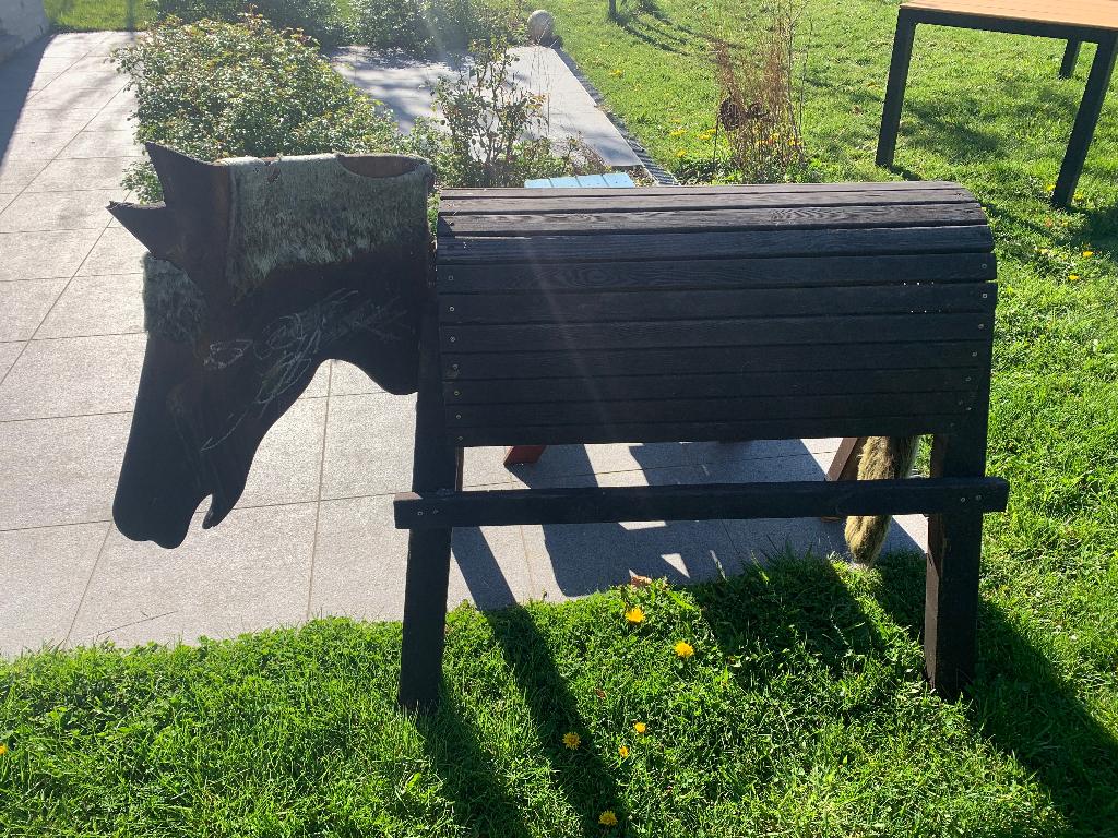 Houten paard, Kinderen en Baby's, Speelgoed | Buiten | Speeltoestellen, Ophalen, Gebruikt