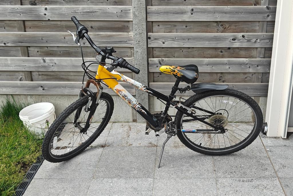 Kinderfiets, Fietsen en Brommers, Fietsen | Kinderfietsjes, Ophalen, Gebruikt, 20 inch of meer