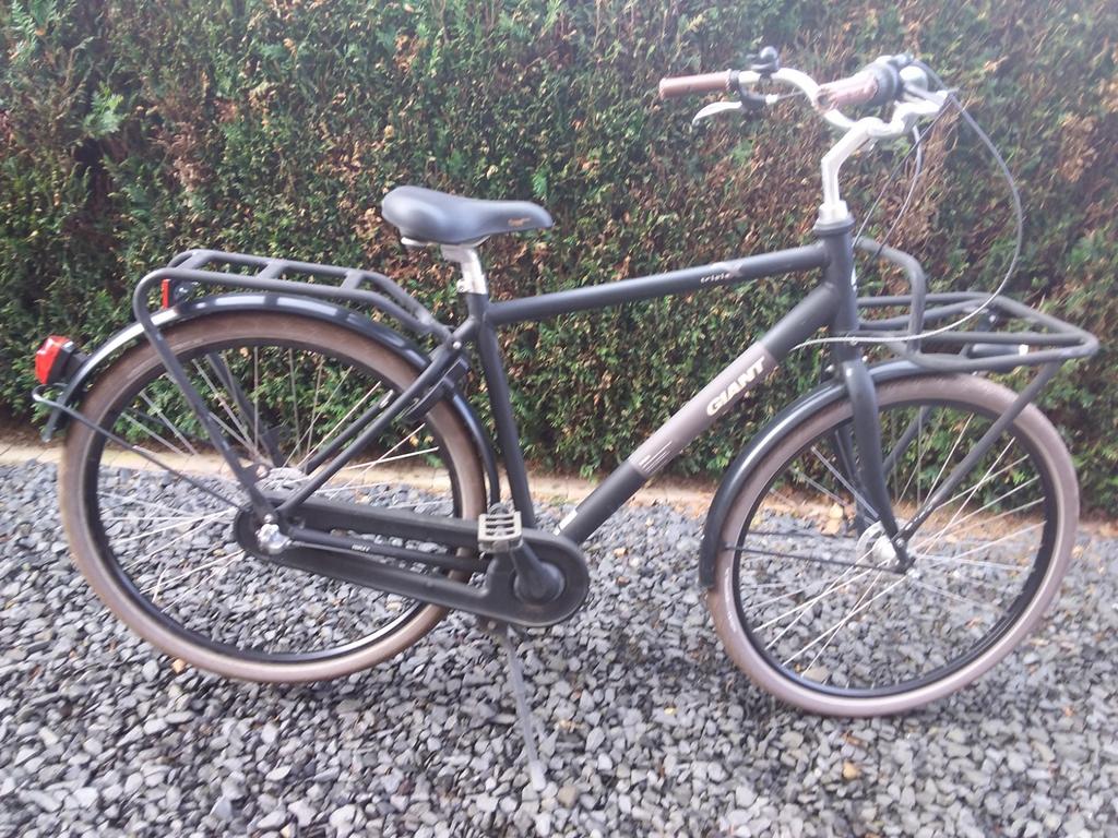 GIANT triple X, Fietsen en Brommers, Ophalen, Giant