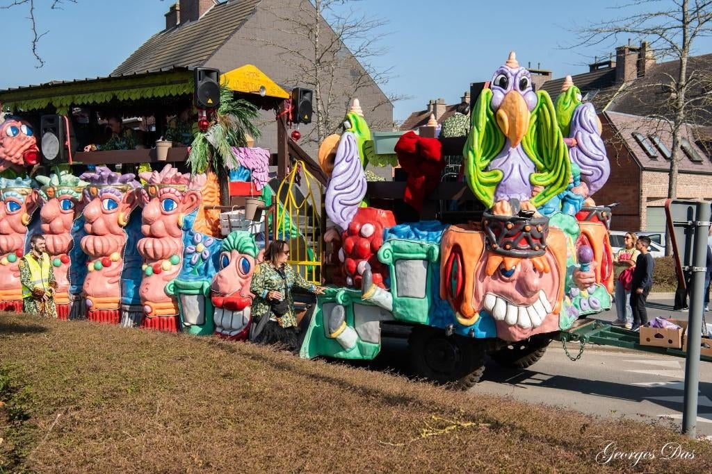 Carnavalswagen, Hobby en Vrije tijd, Feestartikelen, Ophalen, Gebruikt, Overige typen