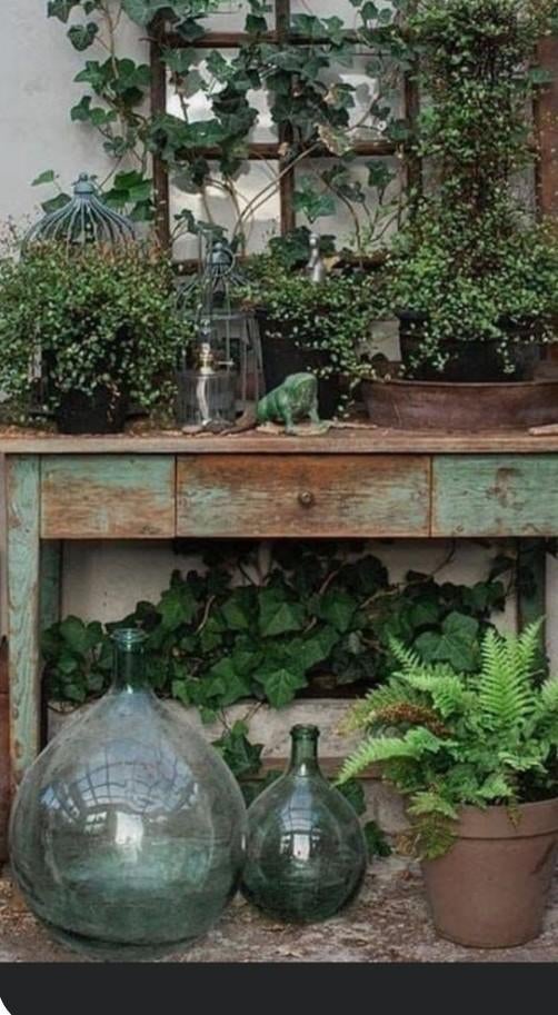 Dame Jeanne gistfles, Tuin en Terras, Tuinvazen, Ophalen