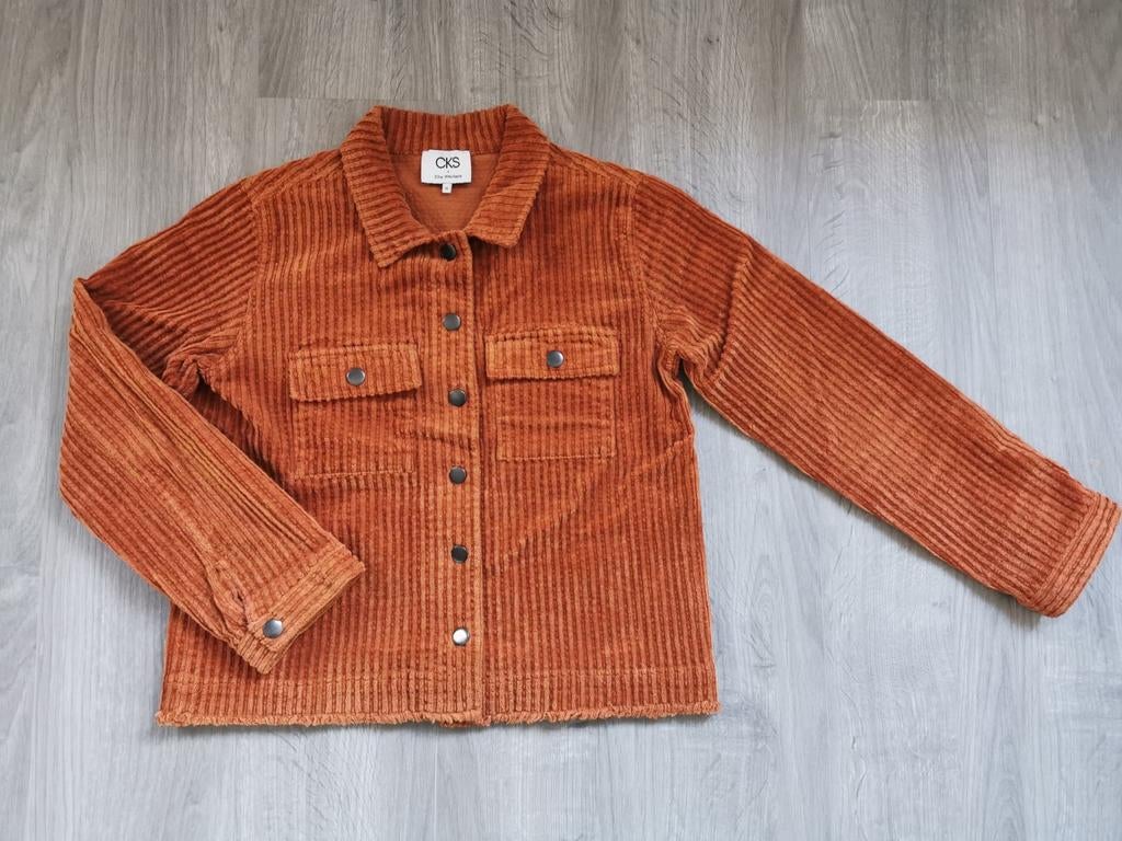 Velours vest CKS - maat 16 jaar, Meisje, Ophalen of Verzenden, Zo goed als nieuw, Trui of Vest