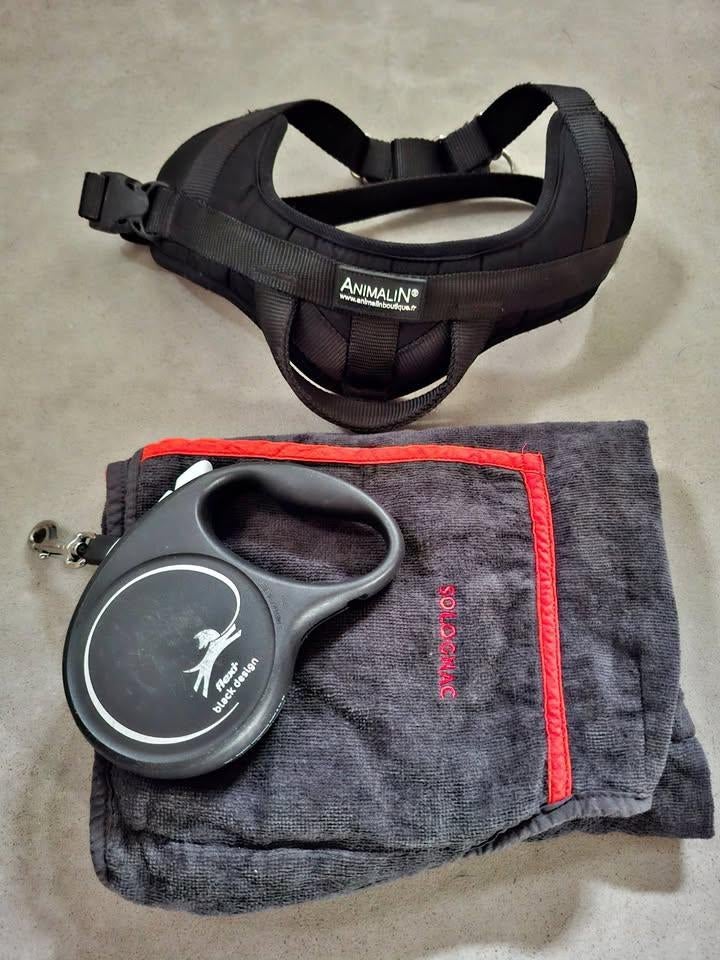 Pack avec  * harnais Animalin * laisse enrouleur et peignoir, Enlèvement, Comme neuf