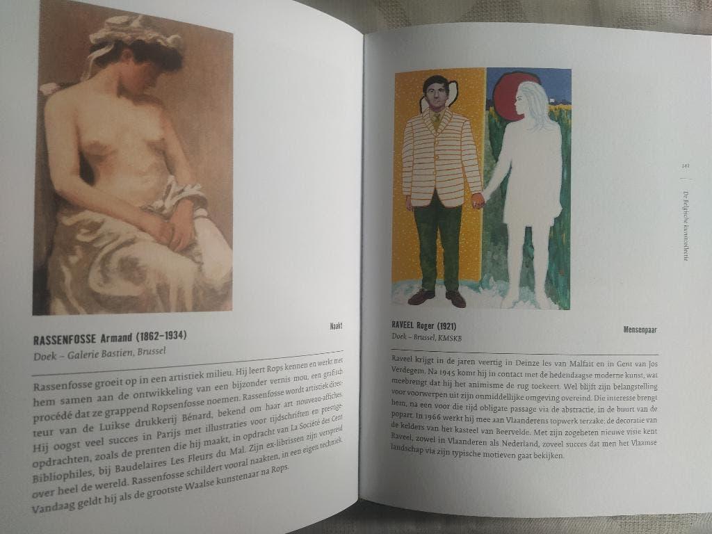 boek: de Belgische kunstcollectie, Ophalen of Verzenden, Zo goed als nieuw, Schilder- en Tekenkunst