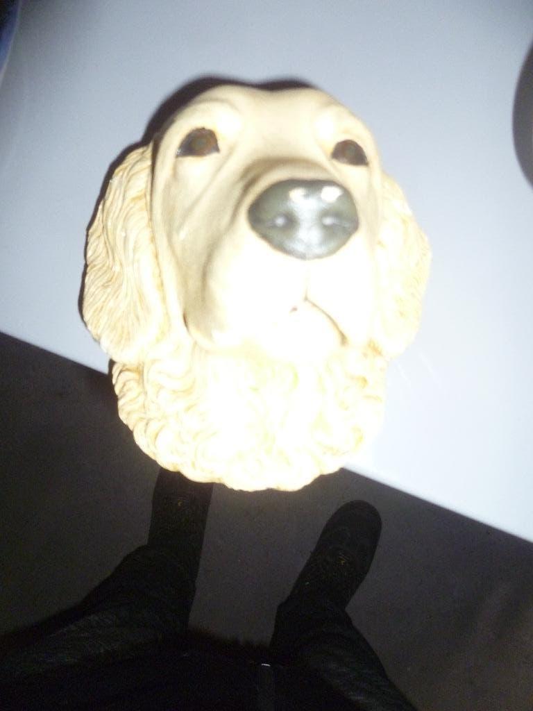 HANG HONDEN KOP IN GIBS, Ophalen