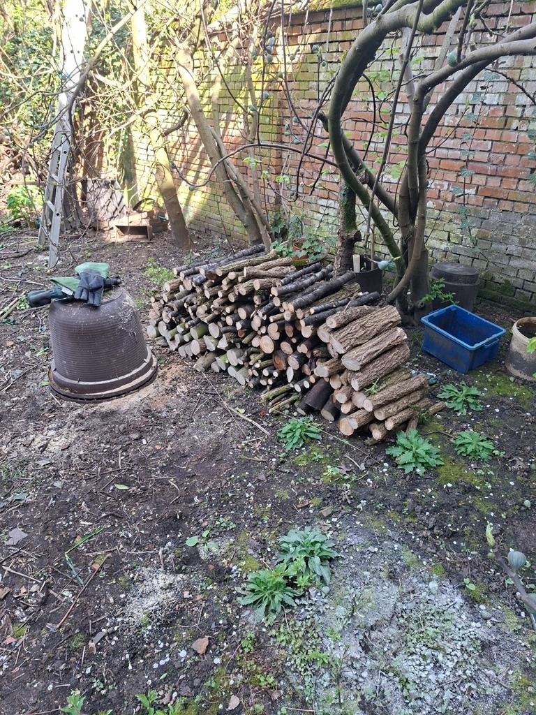 Brand hout, Tuin en Terras, Brandhout, Ophalen