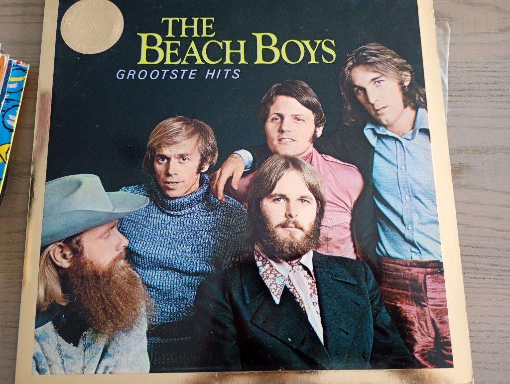 Beach Boys - Greatest hits, Cd's en Dvd's, Ophalen of Verzenden, 1980 - 1989, Gebruikt, 12 inch