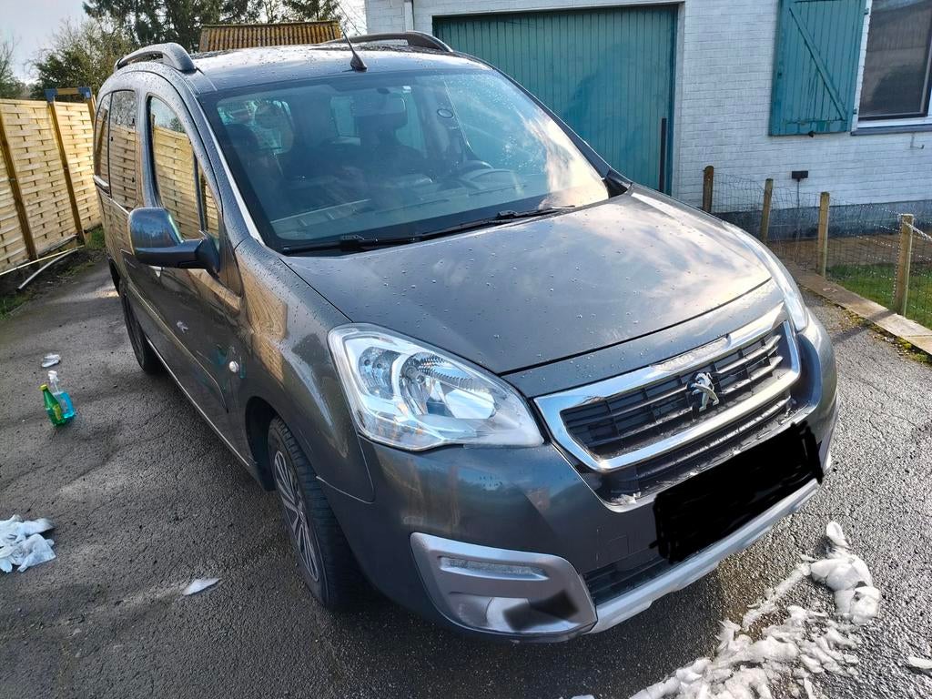 Peugeot Partner Tepee, Argent ou Gris, Achat, Adapté aux personnes handicapées, Boîte manuelle