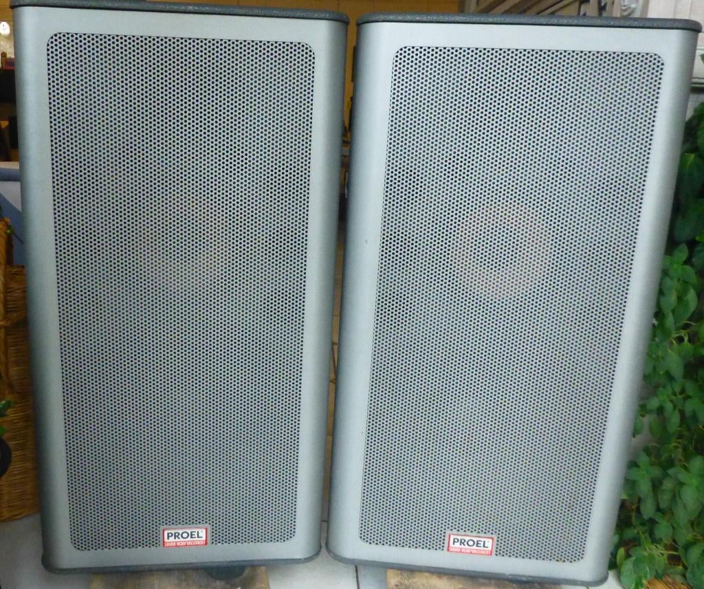 Enceintes sono PROEL, TV, Hi-fi & Vidéo, Enceintes, Comme neuf, Autres types, 120 watts ou plus, Autres marques, Enlèvement