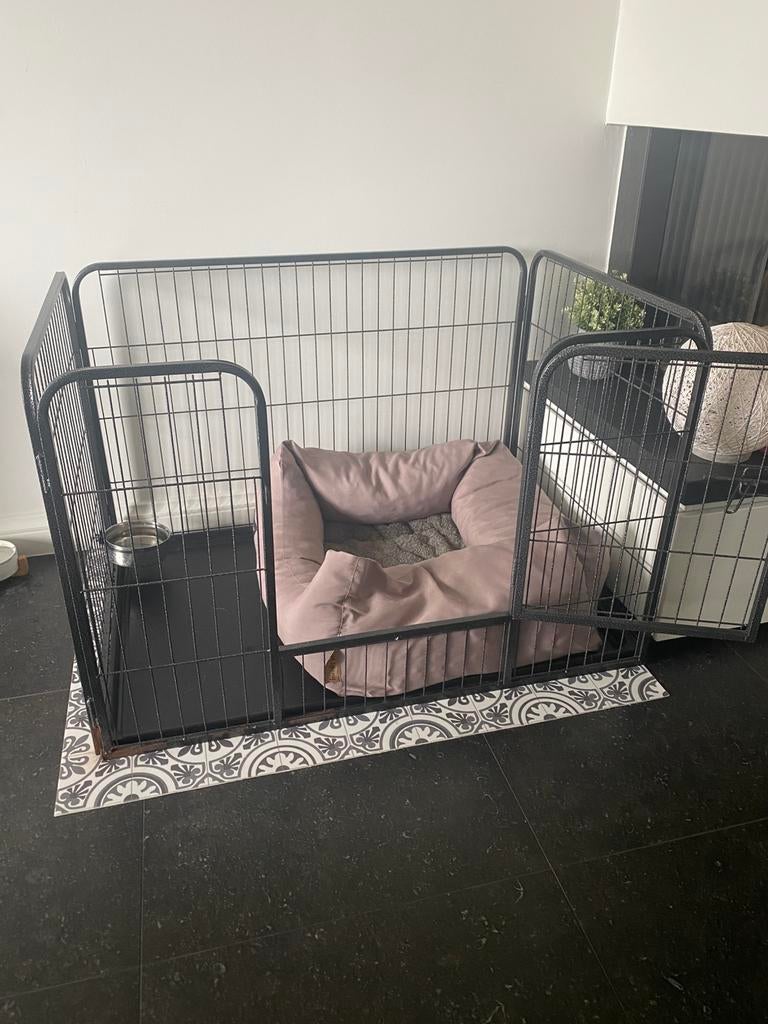 Hondenspullen voor chihuaha of klein hondje, Dieren en Toebehoren, Ophalen, Zo goed als nieuw