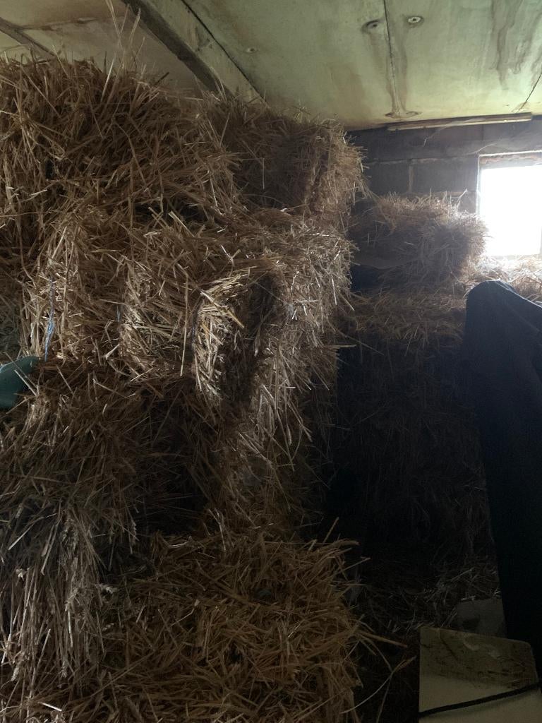 Balen Stro, Ophalen of Verzenden