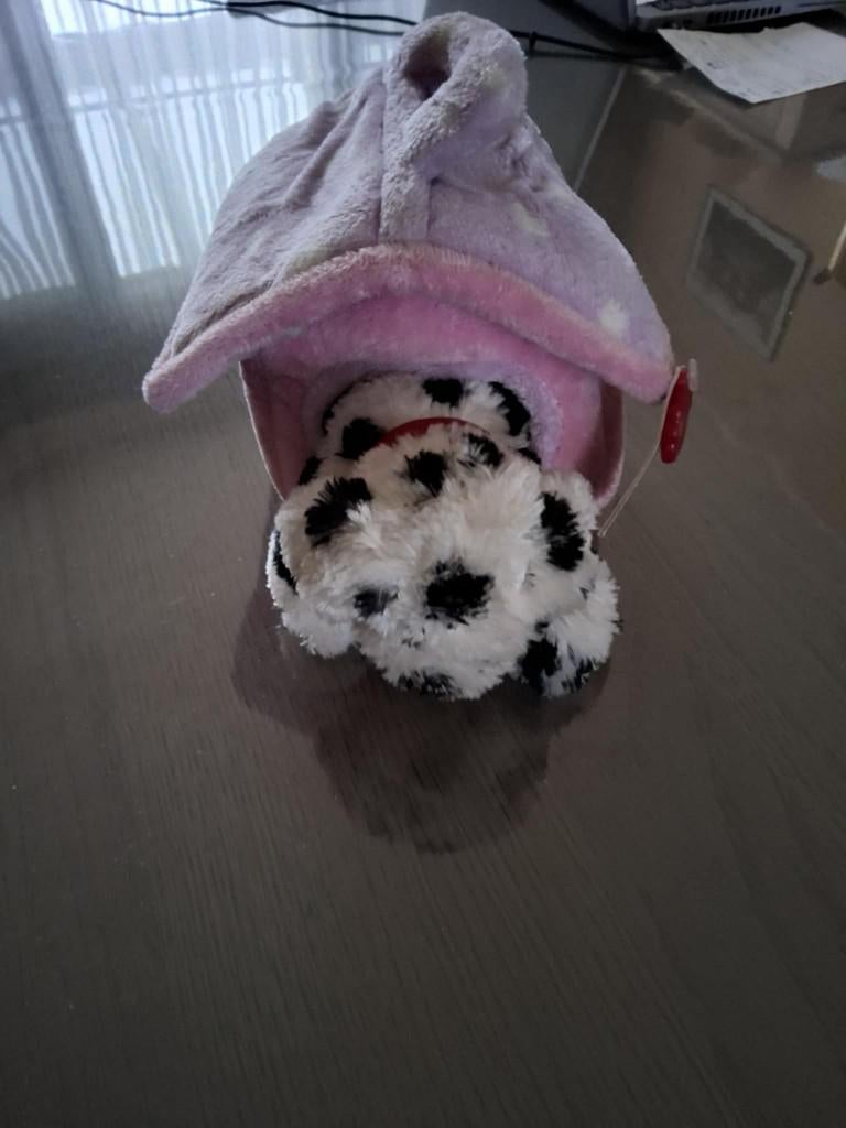 knuffel, Ophalen of Verzenden