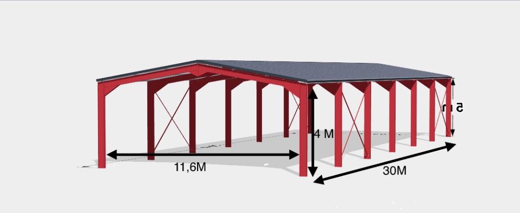 Staalconstructie 11,6x30 meter, stalen gebouw, Doe-het-zelf en Bouw, Metalen, Ophalen, Nieuw, Overige metalen