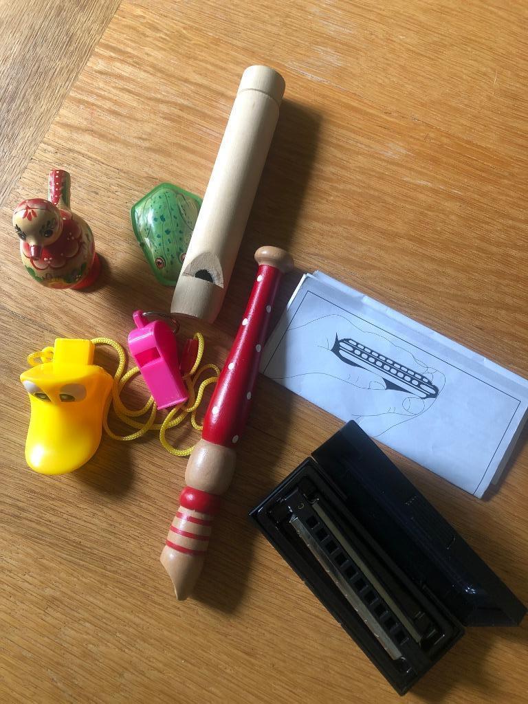 Muziekinstrumenten voor kinderen, Kinderen en Baby's, Ophalen of Verzenden, Gebruikt, Overige typen, Met geluid