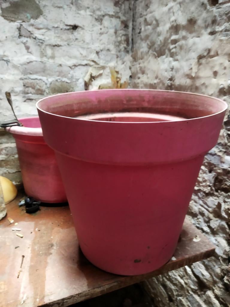 Grand Cache pot rose, Ophalen of Verzenden, Gebruikt