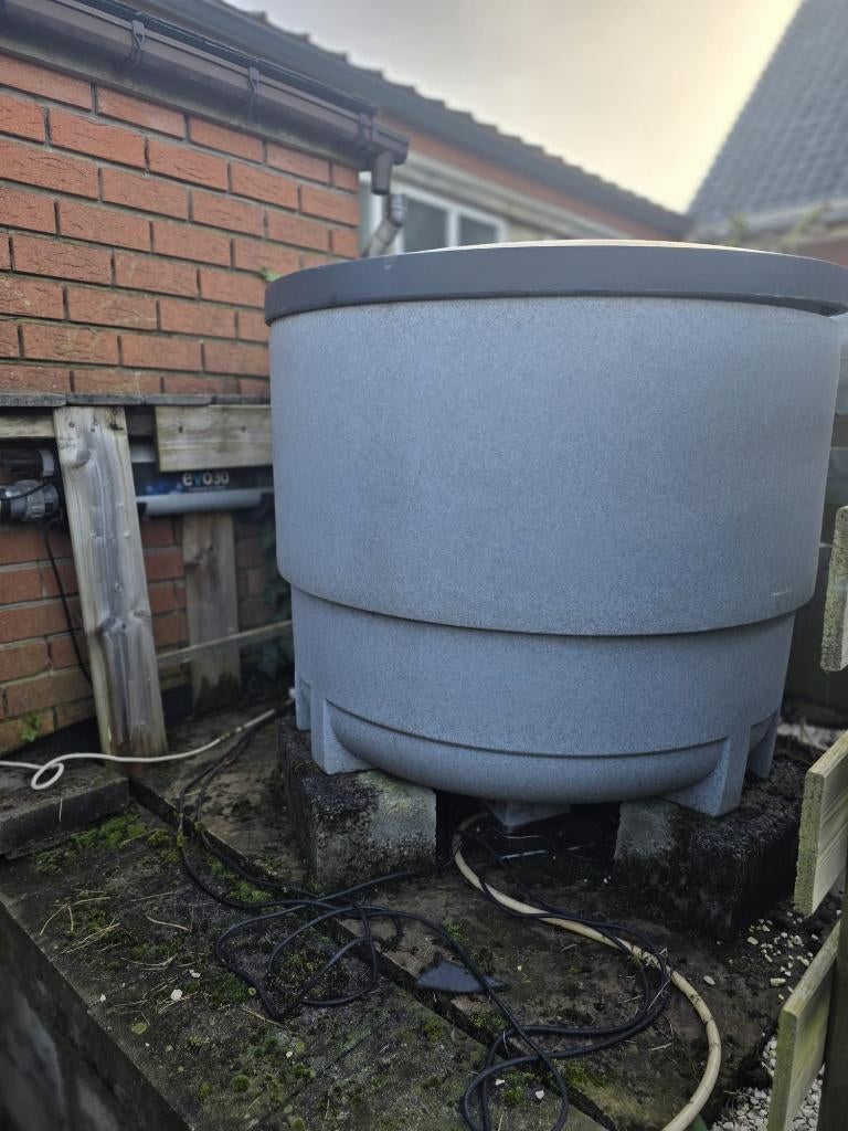 pompe pour bassin, Autres espèces