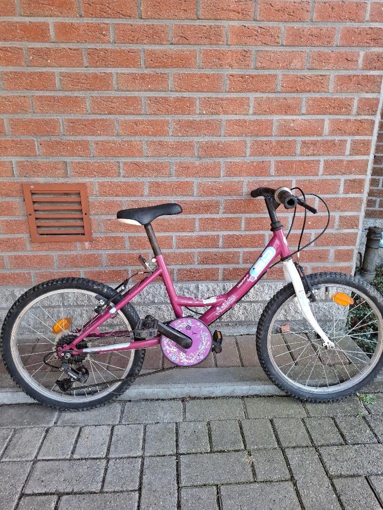 Vélo 20 pouces, Enlèvement, Utilisé, 20 pouces ou plus, Autre