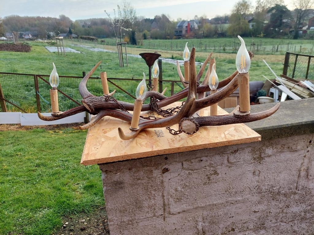 kroonluchter van hertenhout, Huis en Inrichting, Lampen | Kroonluchters, Ophalen