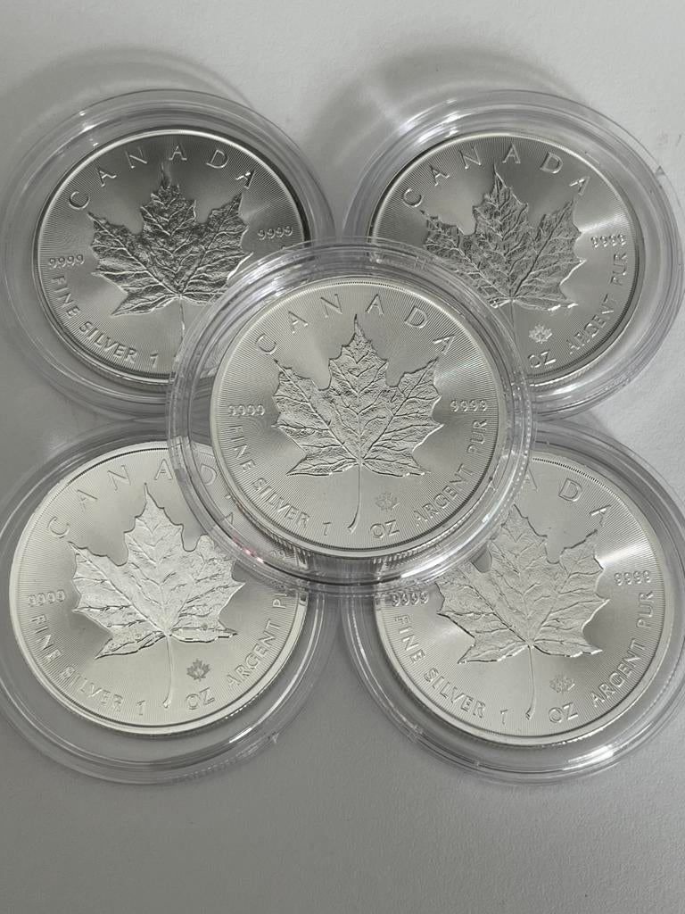 5 mooie zilveren munten 1oz Maple Leaf in capsule, Ophalen of Verzenden, Zilver