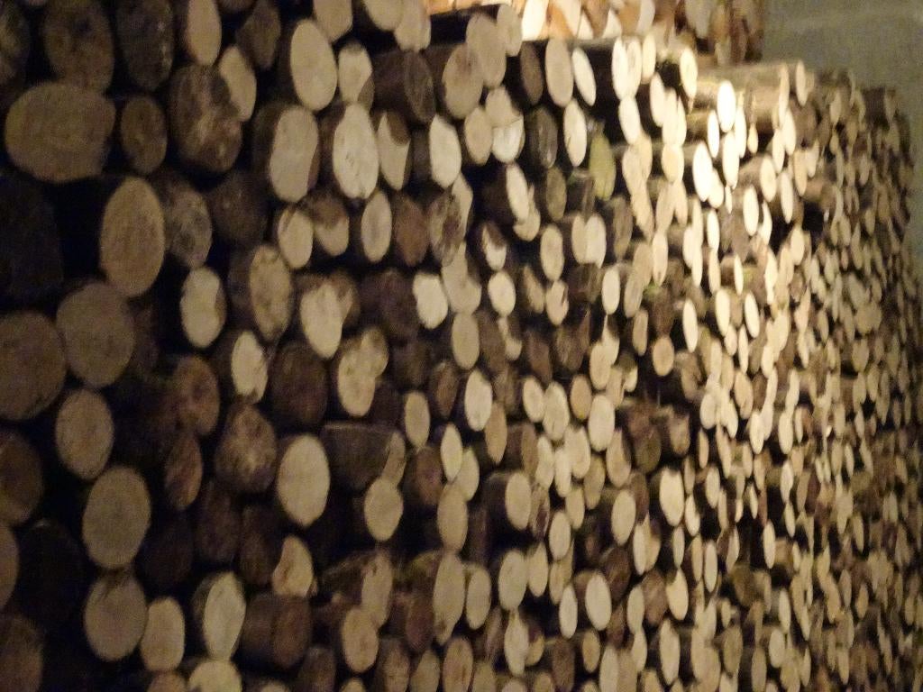 Bois de chauffage, Moins de 3 m³, Envoi, Hêtre, Bûches