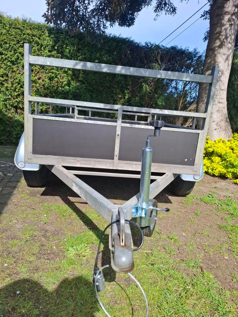 Bande-annonce Remark, Enlèvement