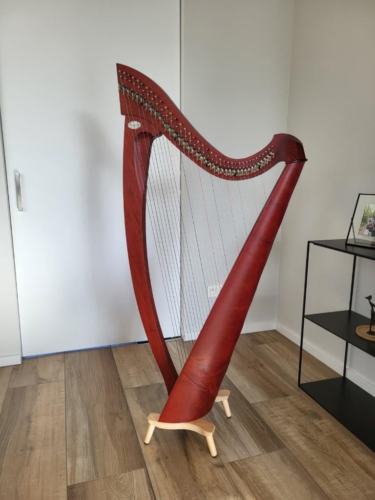 Harpe Salvi Titan D 38 cordes, Enlèvement, Comme neuf