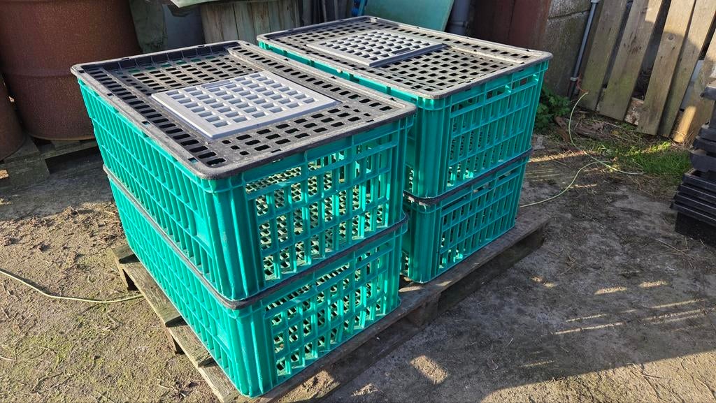 Pluimvee transport bakken, Dieren en Toebehoren, Ophalen