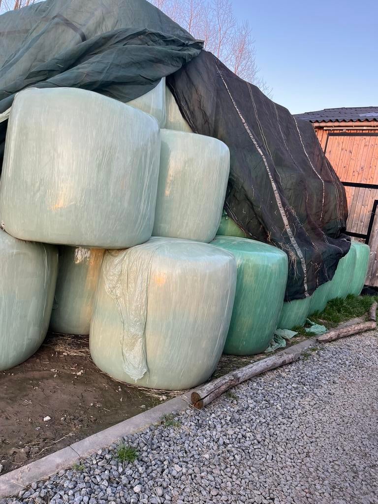 Maisbalen, Dieren en Toebehoren, Ophalen