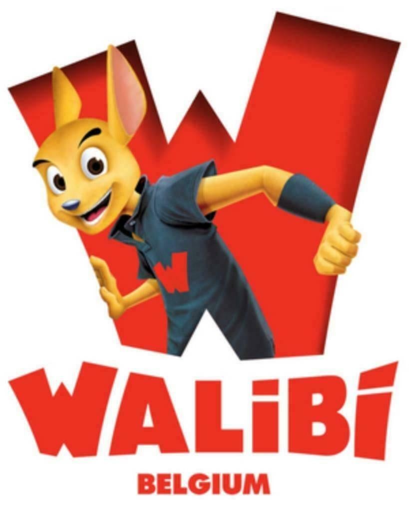 walibi 2 billets valables tous les jours, Tickets & Billets, Deux personnes, Ticket ou Carte d'accès