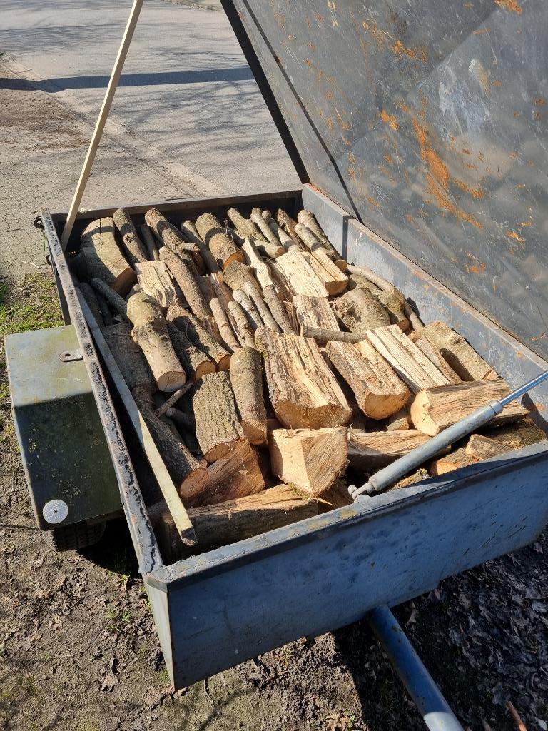 brandhout, Tuin en Terras, Ophalen