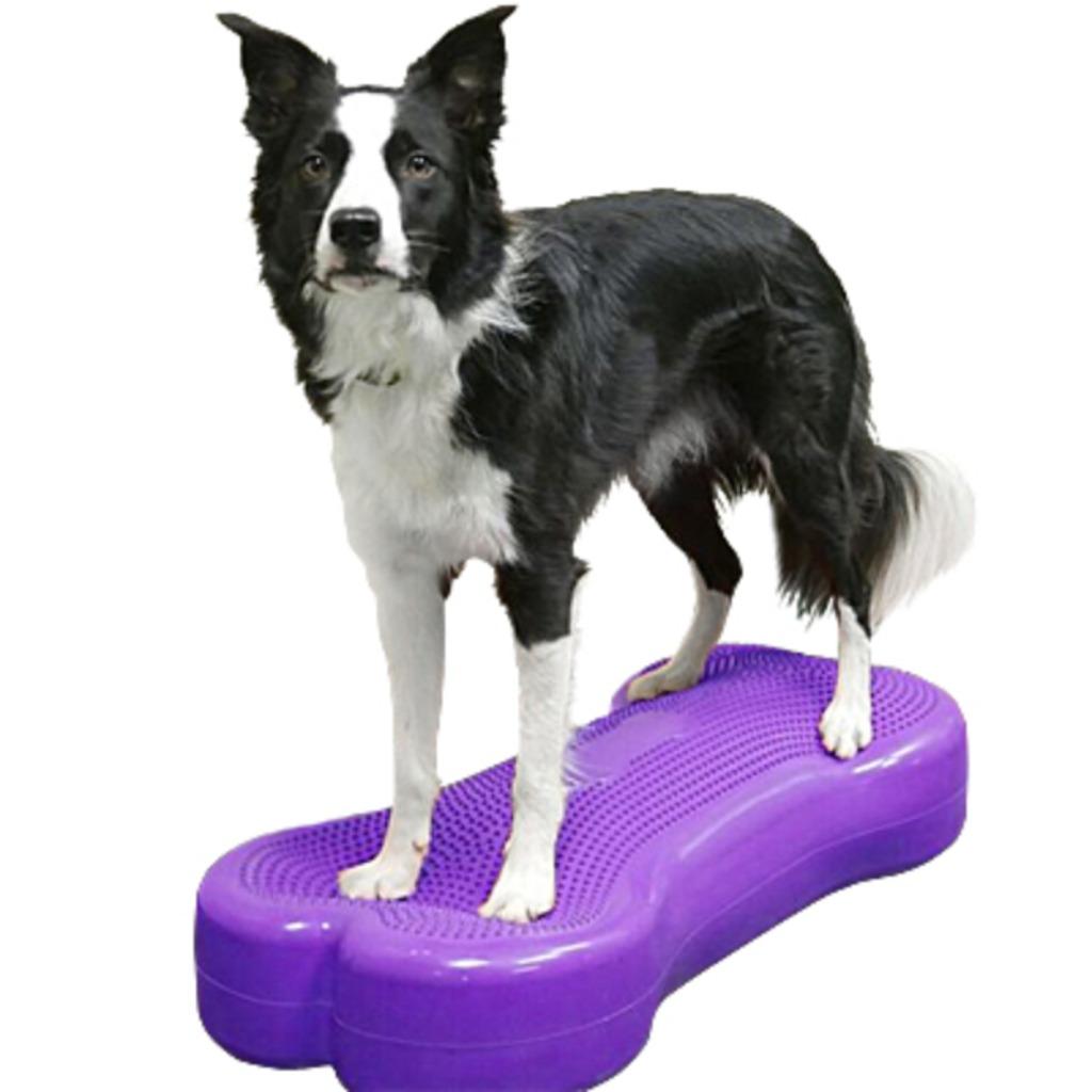 FitPAWS K9FITbone hondentraining, Verzenden, Nieuw