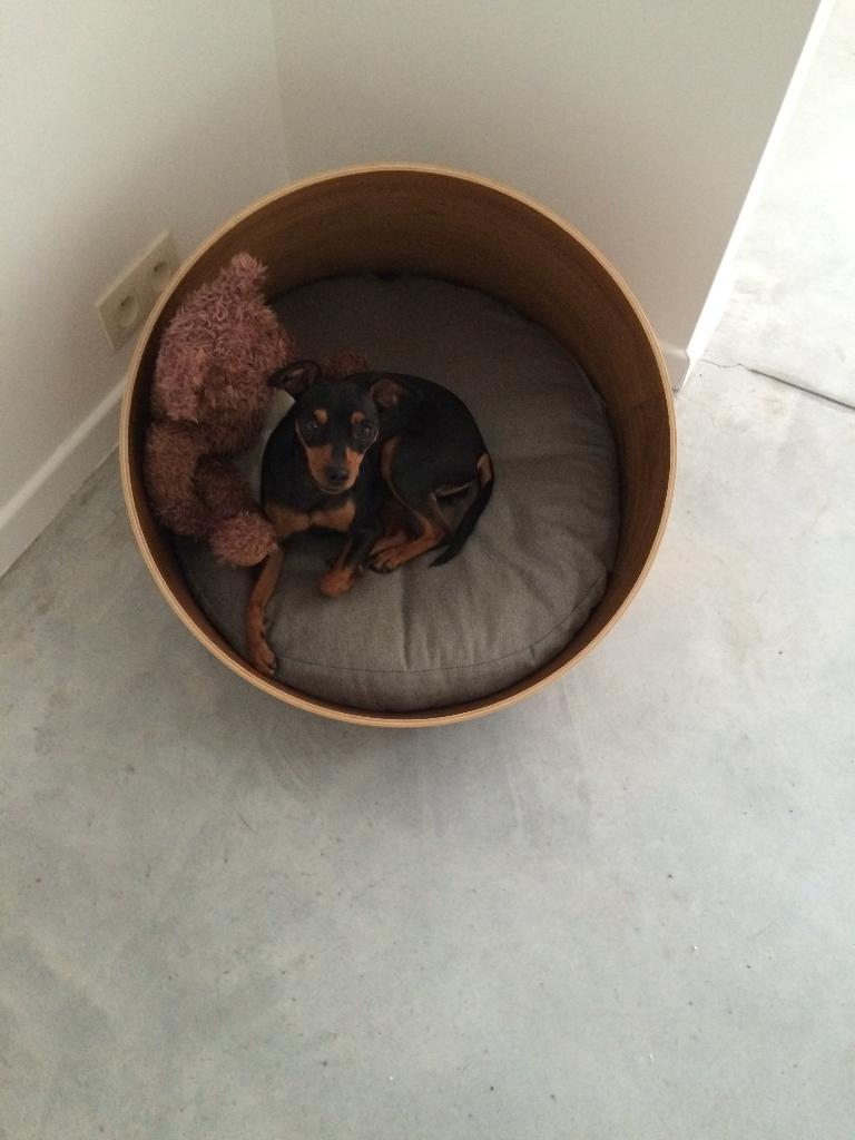 Design hondenmand, Dieren en Toebehoren, Ophalen, Zo goed als nieuw, Overige