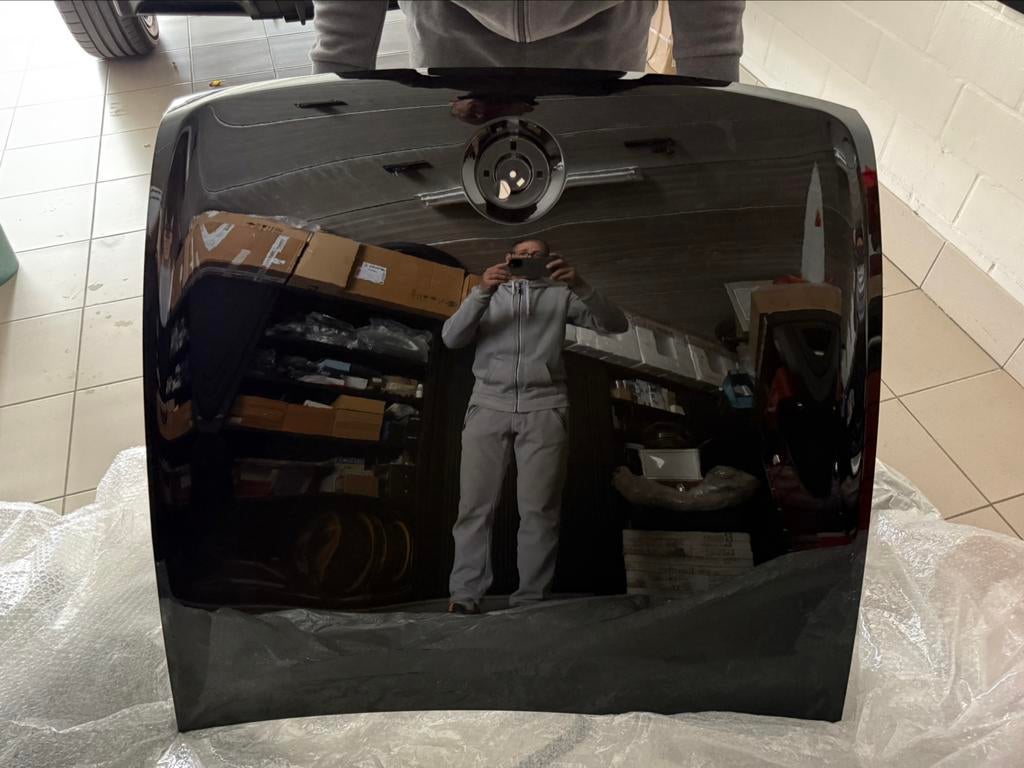 Fisker Ocean motorkap, Ophalen, Motorkap