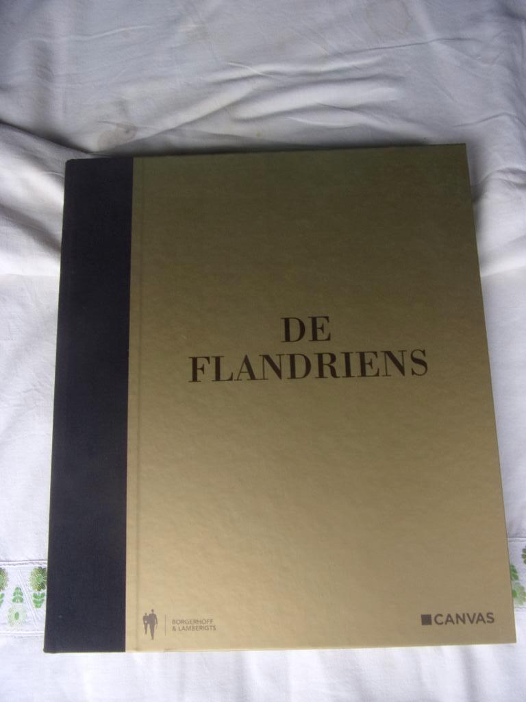 Wielrennen : DE FLANDRIENS, Boeken, Ophalen of Verzenden, Zo goed als nieuw, Lopen en Fietsen