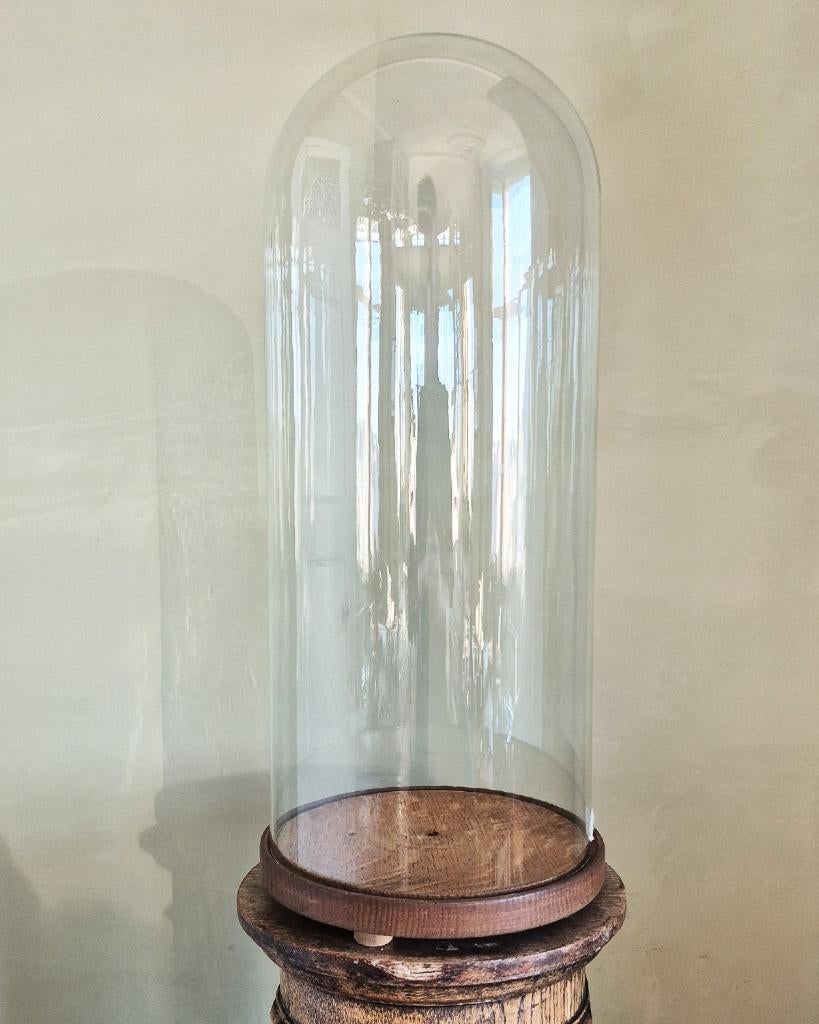 Grote antieke stolp of globe met originele houten basis, Ophalen