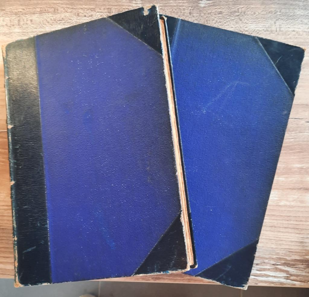 NATIONALE GESCHIEDENIS VAN JOAN OF ARC BOEK, Ophalen of Verzenden, 19e eeuw, Gelezen, MICHEL MORPHY