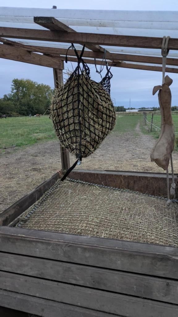 Plek vrij op opstartende paddock paradise te Reet, Dieren en Toebehoren, Stalling en Weidegang, Stalling, Weidegang, 4 paarden of pony's of meer