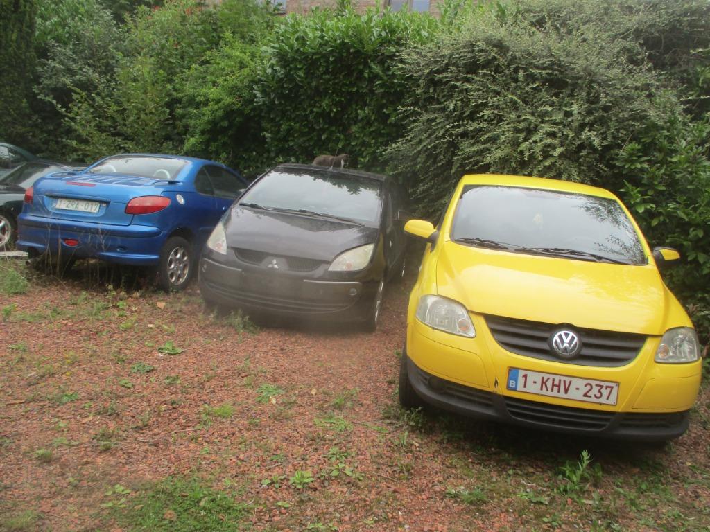 voiture, Autos, Volkswagen, Achat, Cabriolet, Boîte manuelle, Autres couleurs