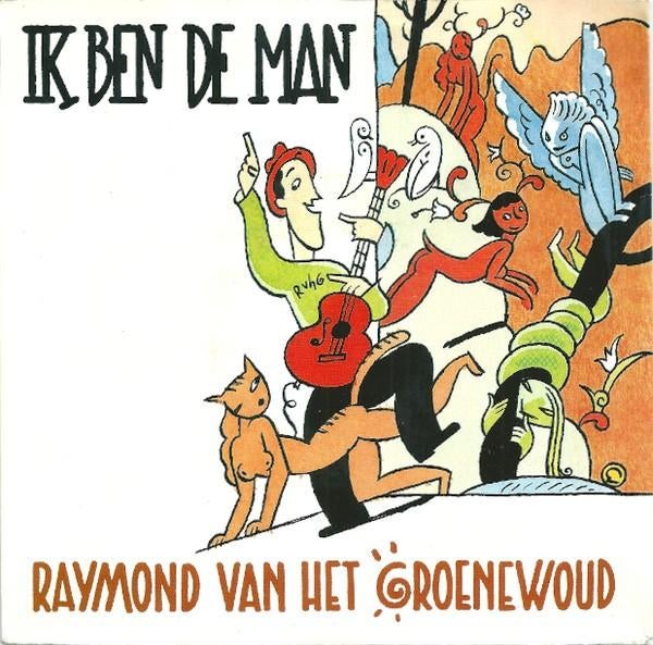 raymond van het groenewoud, Cd's en Dvd's, Vinyl | Nederlandstalig, Ophalen of Verzenden