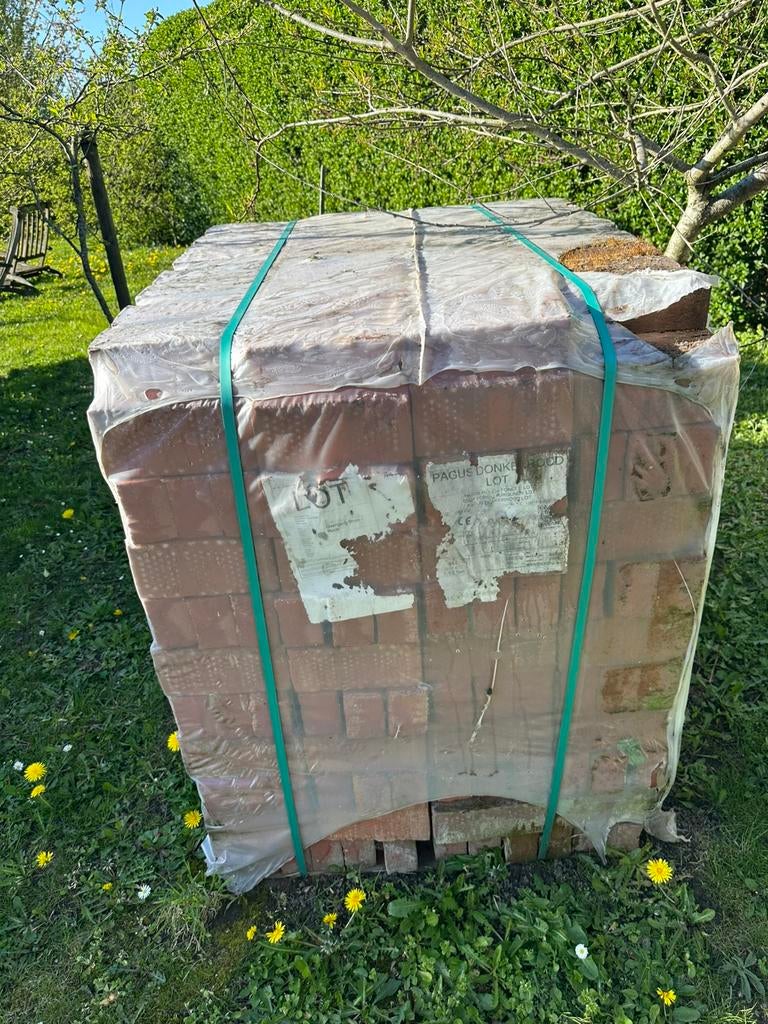 Brick Pagus rouge foncé, Bricolage & Construction, Briques, Enlèvement, Neuf, Briques
