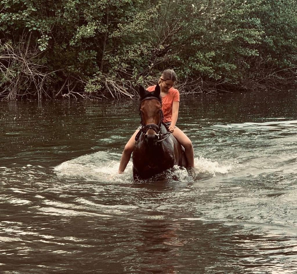 paard ruin recreatief, Ophalen