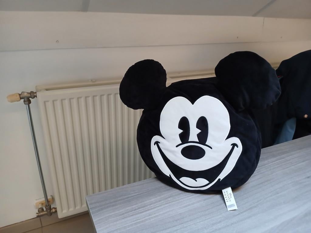 Kussen van Disney mickey mouse, Verzamelen, Ophalen of Verzenden, Mickey Mouse